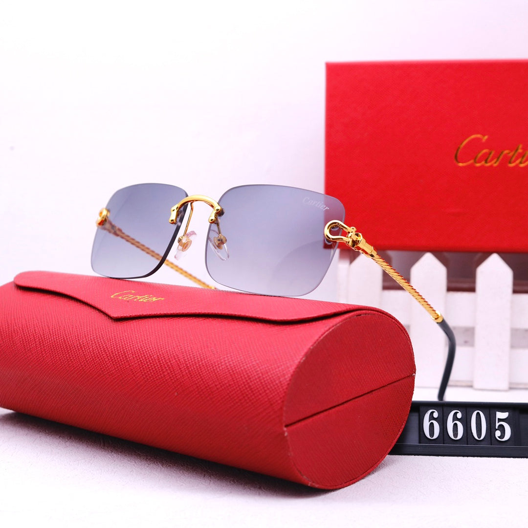 Fashion Sunglasses—6605