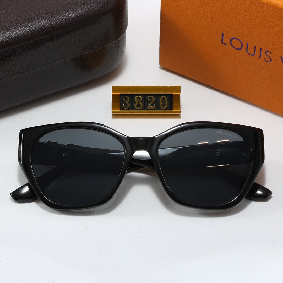 Wayfarer Sunglasses 3820