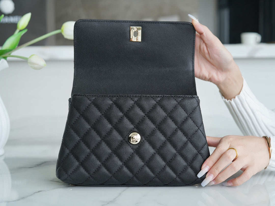 Classic Flap Bag With Handle