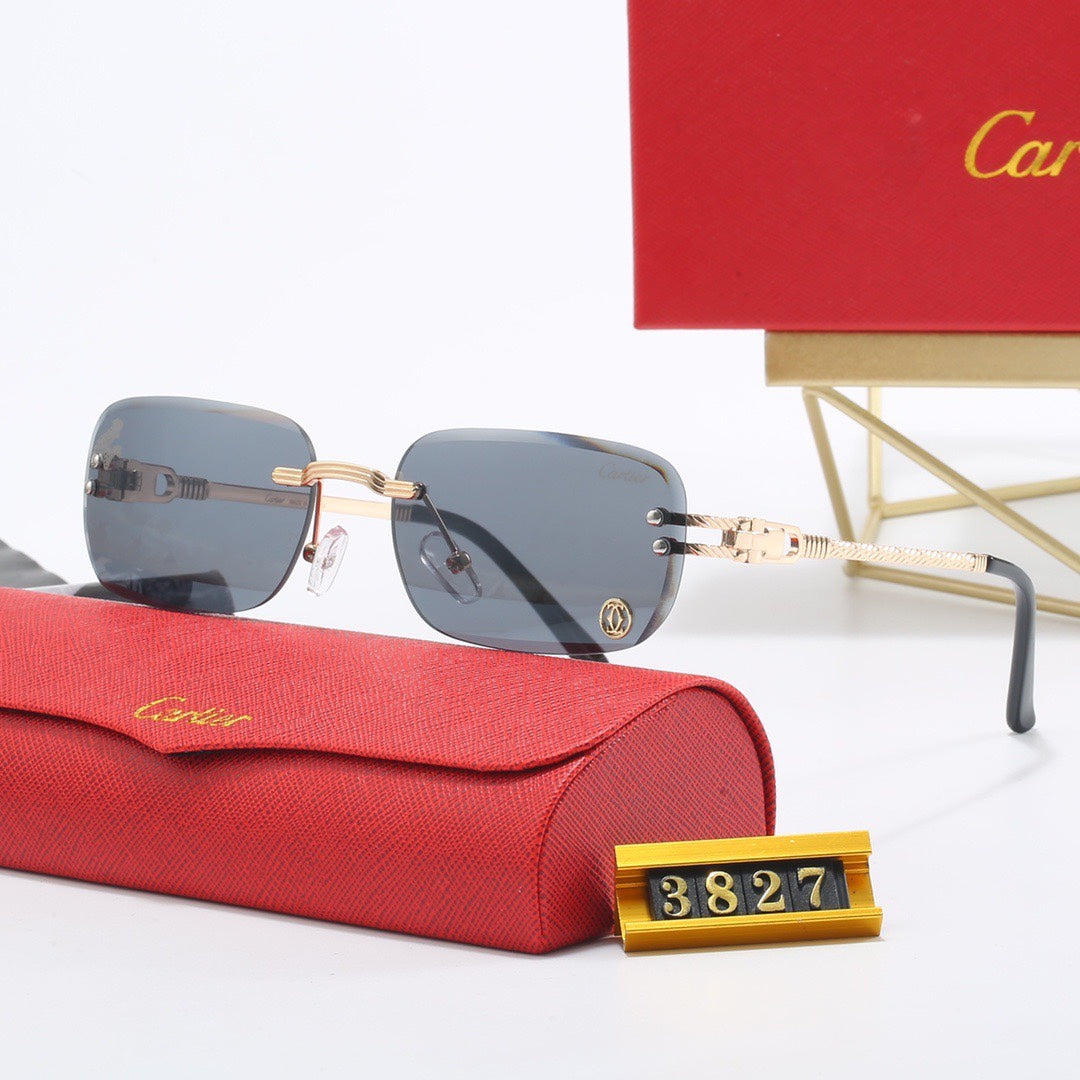 Rimless Sunglasses 3827