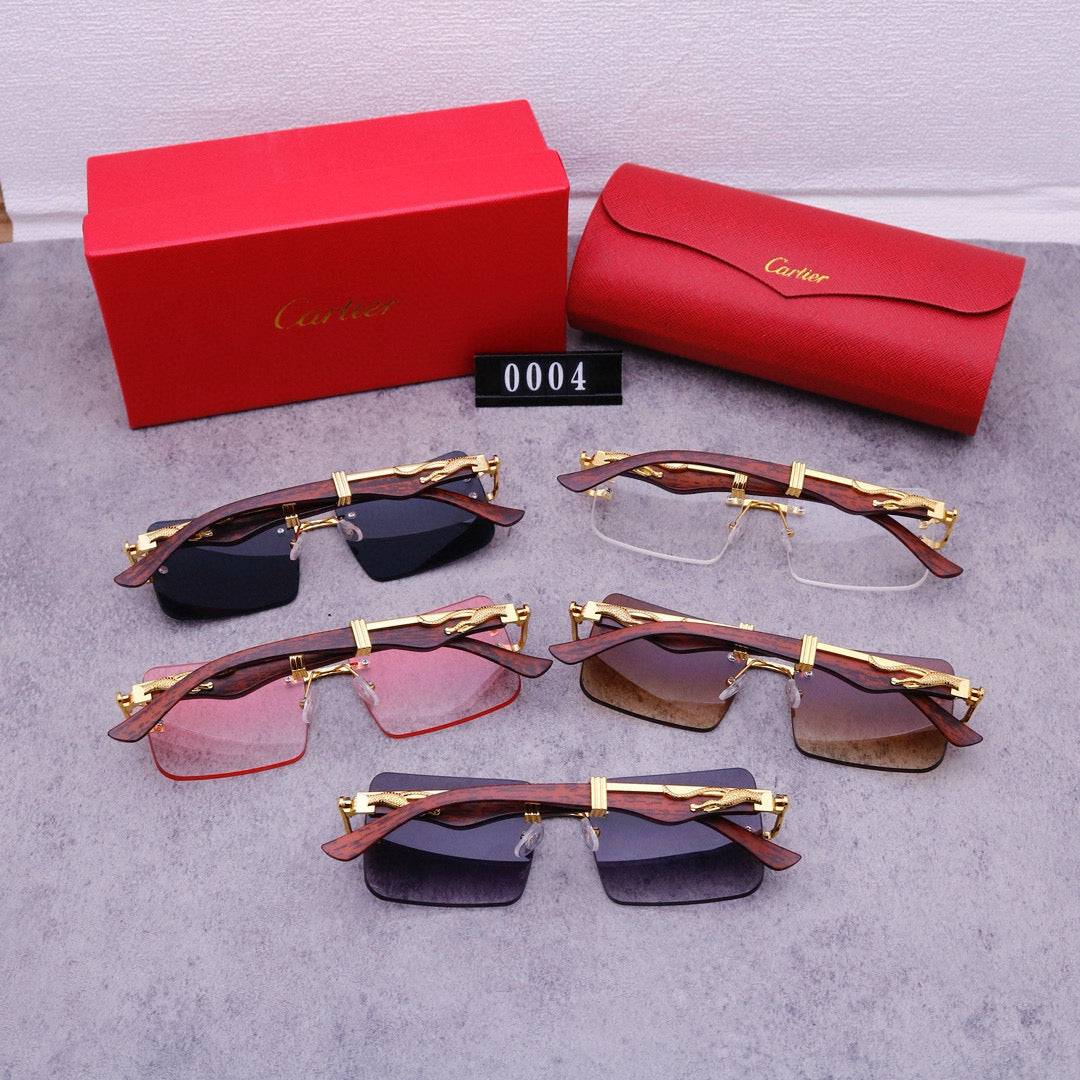 Fashion Sunglasses-CW-95800