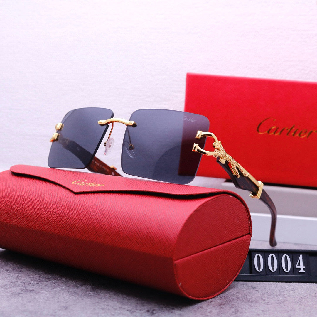 Fashion Sunglasses-CW-95800